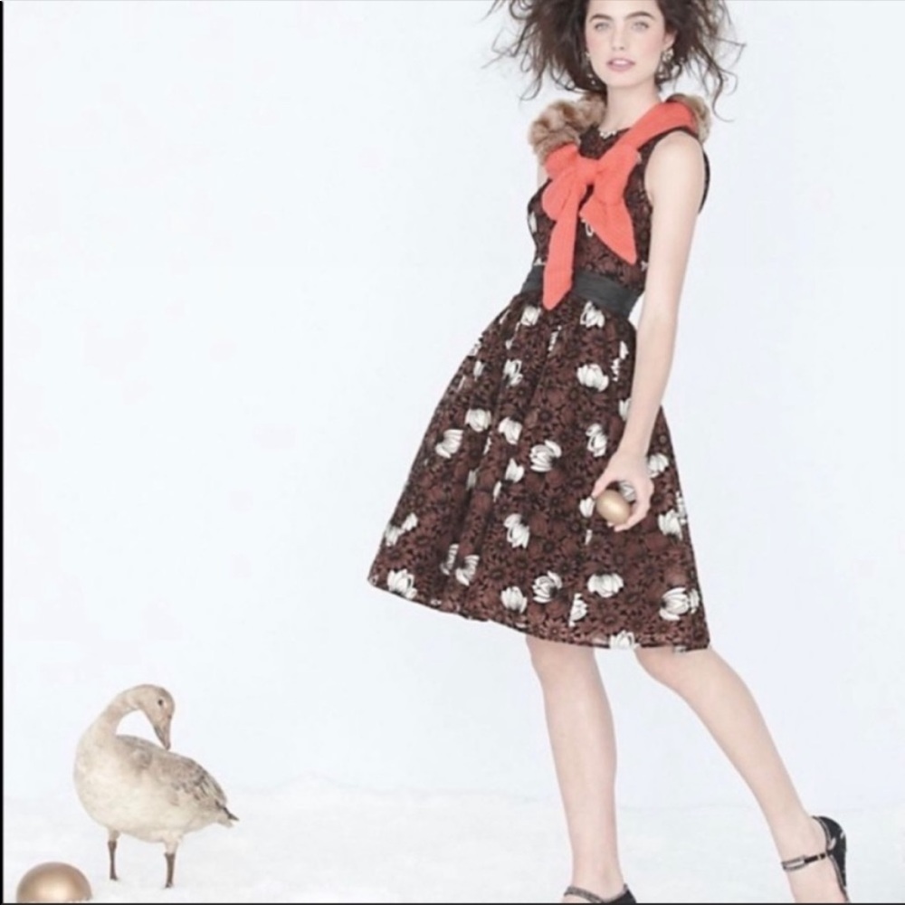 Anthropologie Brown Floral A-Line Dress with Black Lace